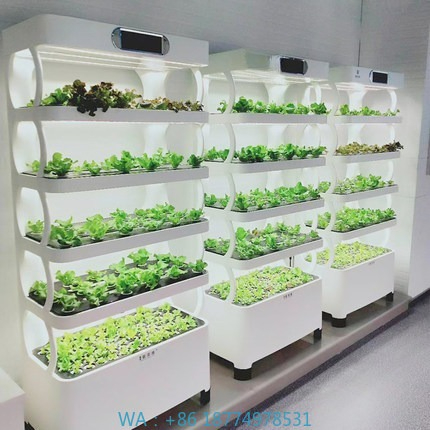 Diy Automation - Sistema de cultivo automatizado hidropónico Sistema