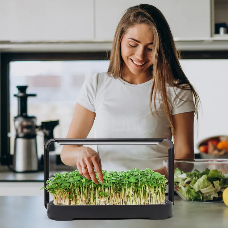 Sistema de Cultivo de Microveg - Home Automation System Design reseña y precio