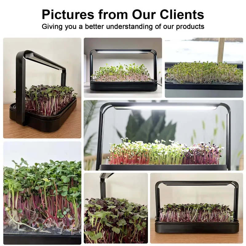 Sistema de Cultivo de Microveg - Home Automation System Design reseña y precio
